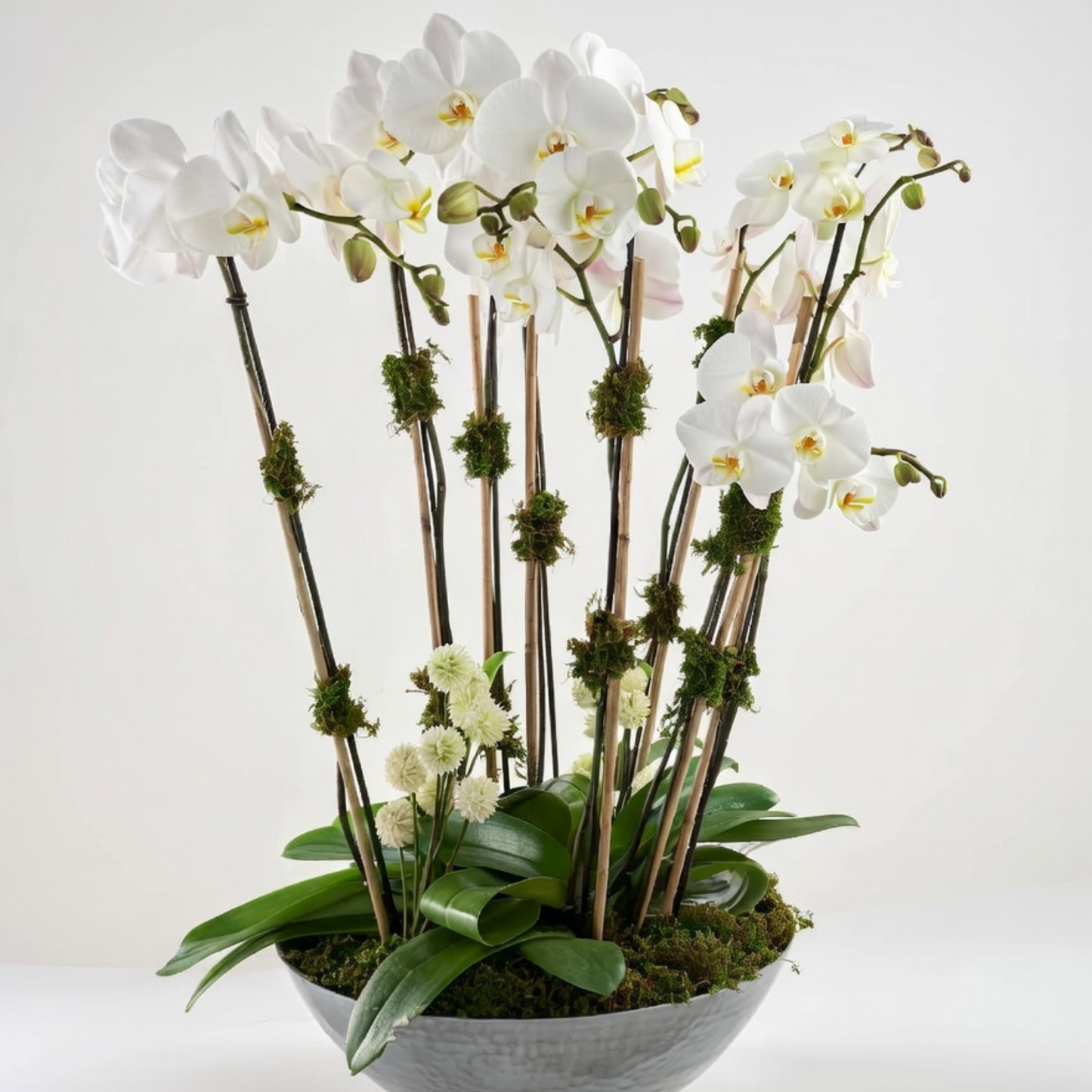 Grand Orchid Signature