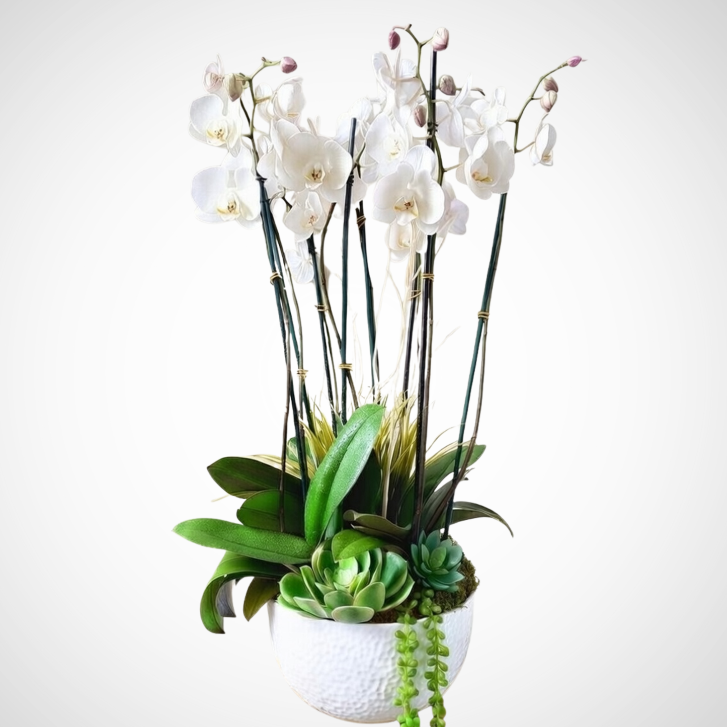 Serenity Orchid Garden