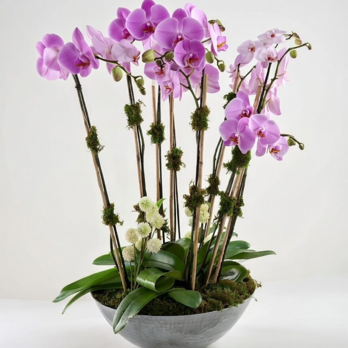 Grand Orchid Signature